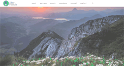 Desktop Screenshot of faberinstitute.com